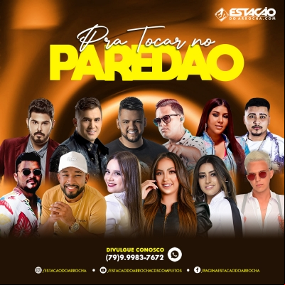PRA TOCAR NO PAREDAO - Seleçao 2022